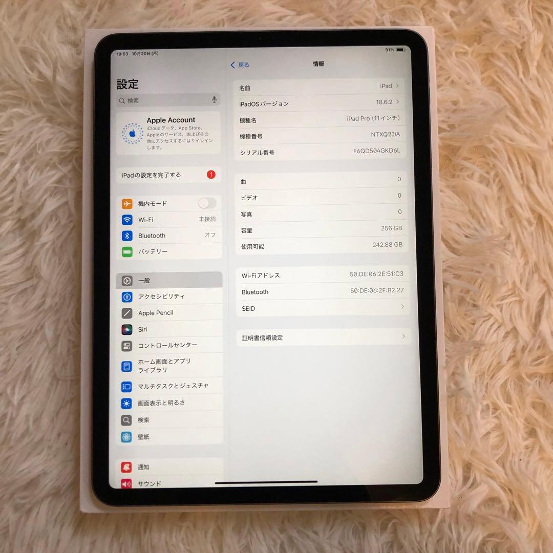【完動品】iPad Pro 11 256GB 第1世代 Wi-Fi 【すぐ発送】