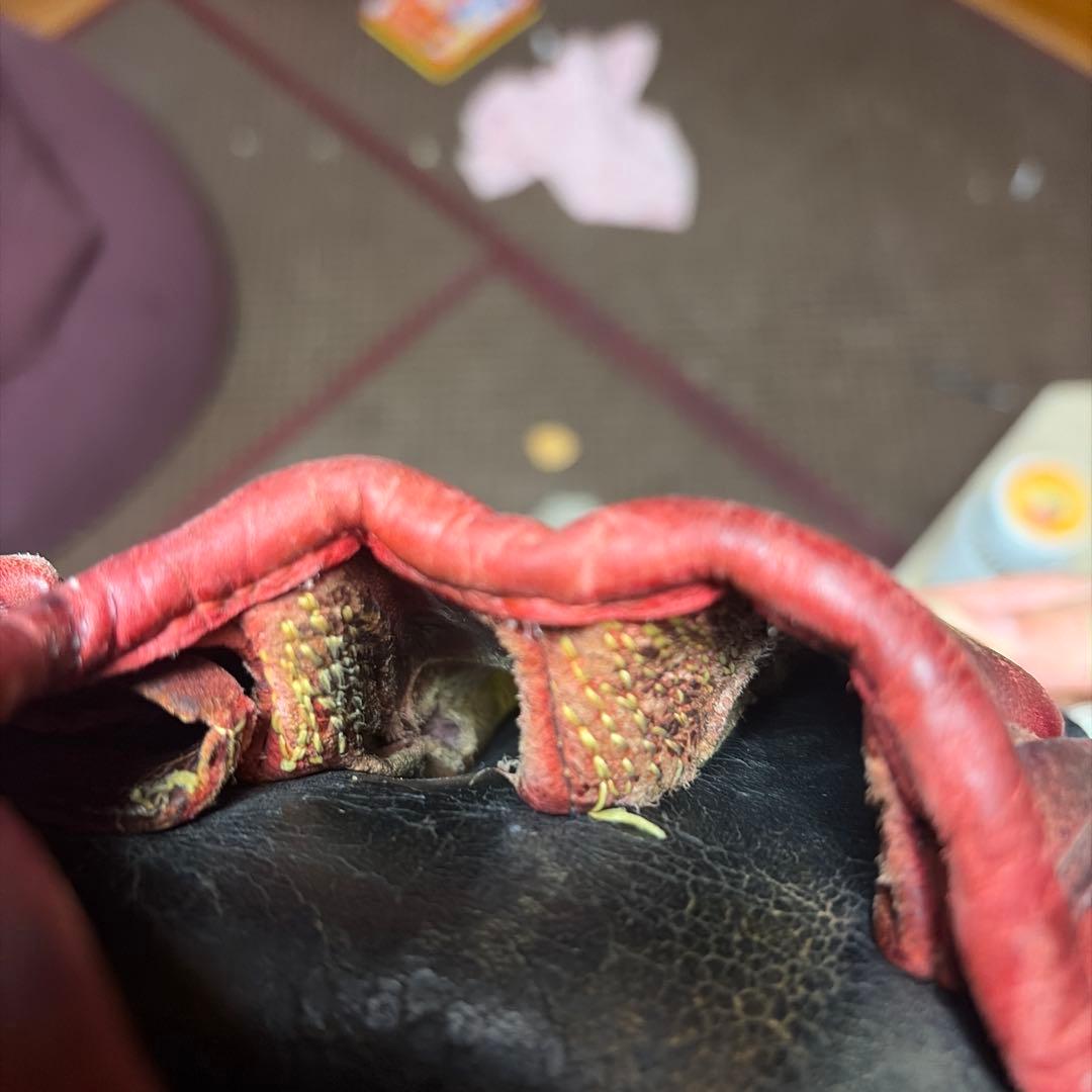 Mizuno Pro 硬式外野手用グローブ