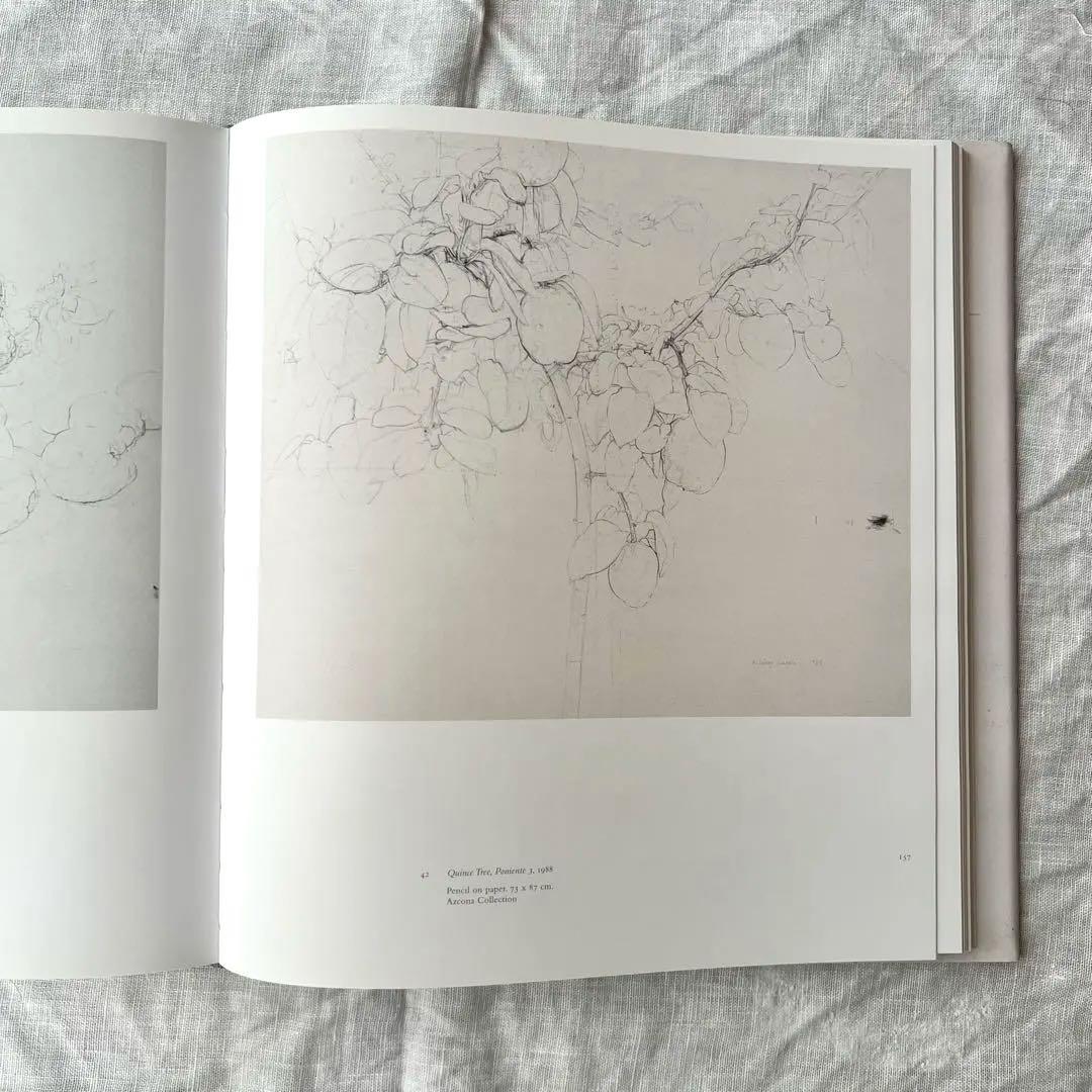 目*双様 希少 アントニオ・ロペス・ガルシア 画集 図録