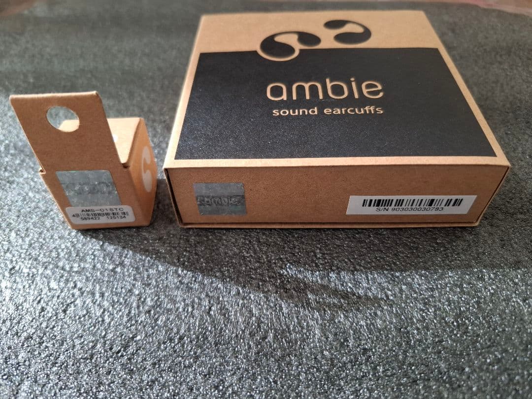 フォースambie AM-TW02 Black×Black