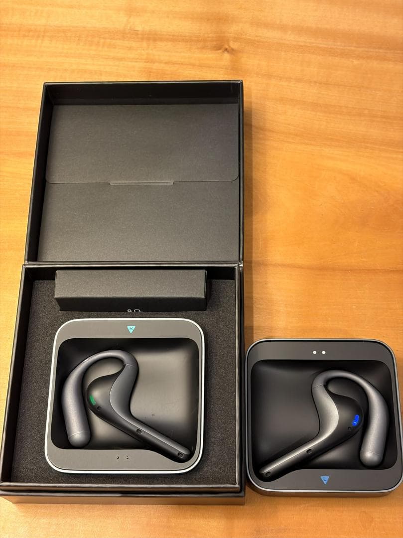 Timekettle W4 Pro イヤホン 超美品 （AI翻訳機）