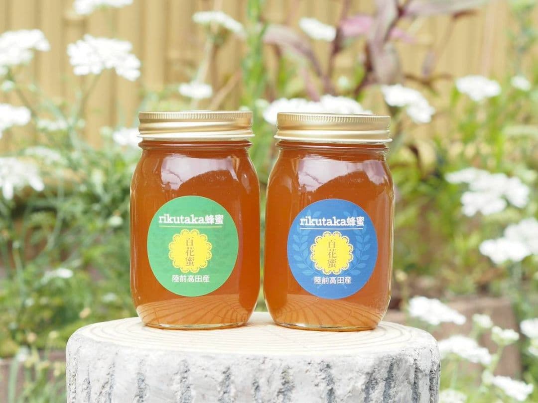 日本蜜蜂ハチミツ(600g×2)