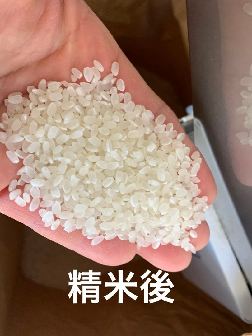 令和7年度産　新米ヒノヒカリ　玄米20kg(送料込)減農薬のお米