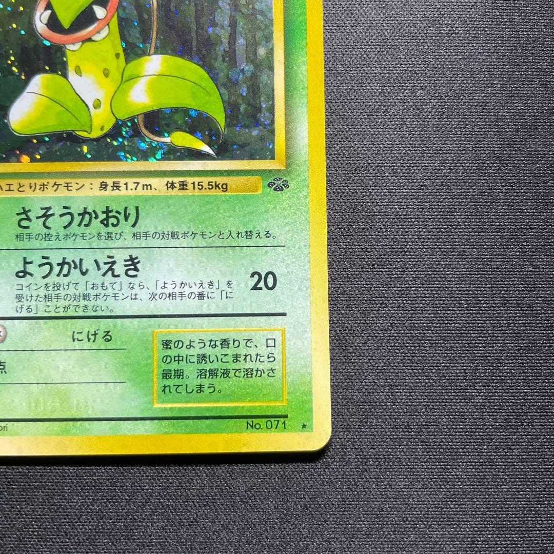 ポケカ ウツボット 旧裏 キラ 渦巻きあり