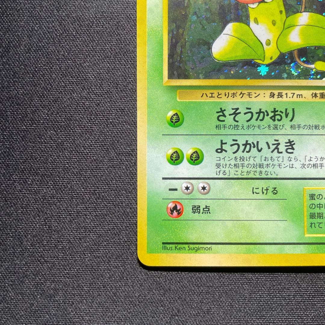 ポケカ ウツボット 旧裏 キラ 渦巻きあり