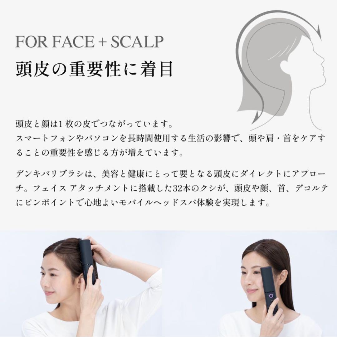 最終値下げ！【正規品】ELECTRON デンキバリブラシ(R) 2.0 +ボディ