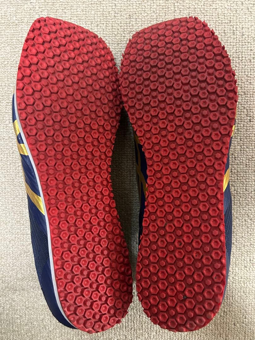 日髙雅康 アシックス ウィンドスプリント3 step限定カラー26.5cm