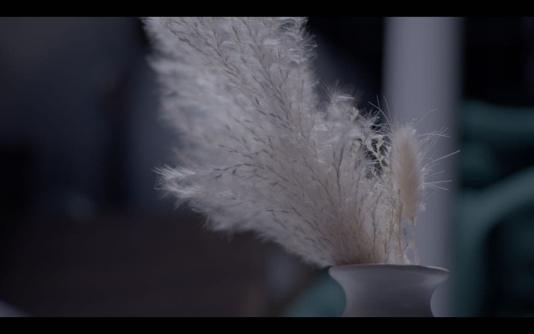 作例有20枚絞り羽根Tair11 133mm f2.8 m42マウント