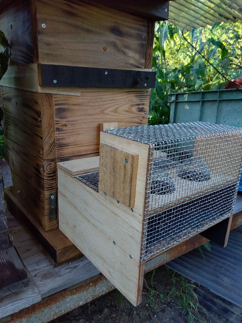 スズメバチ捕獲器 スズメバチ生捕器 2個売りです