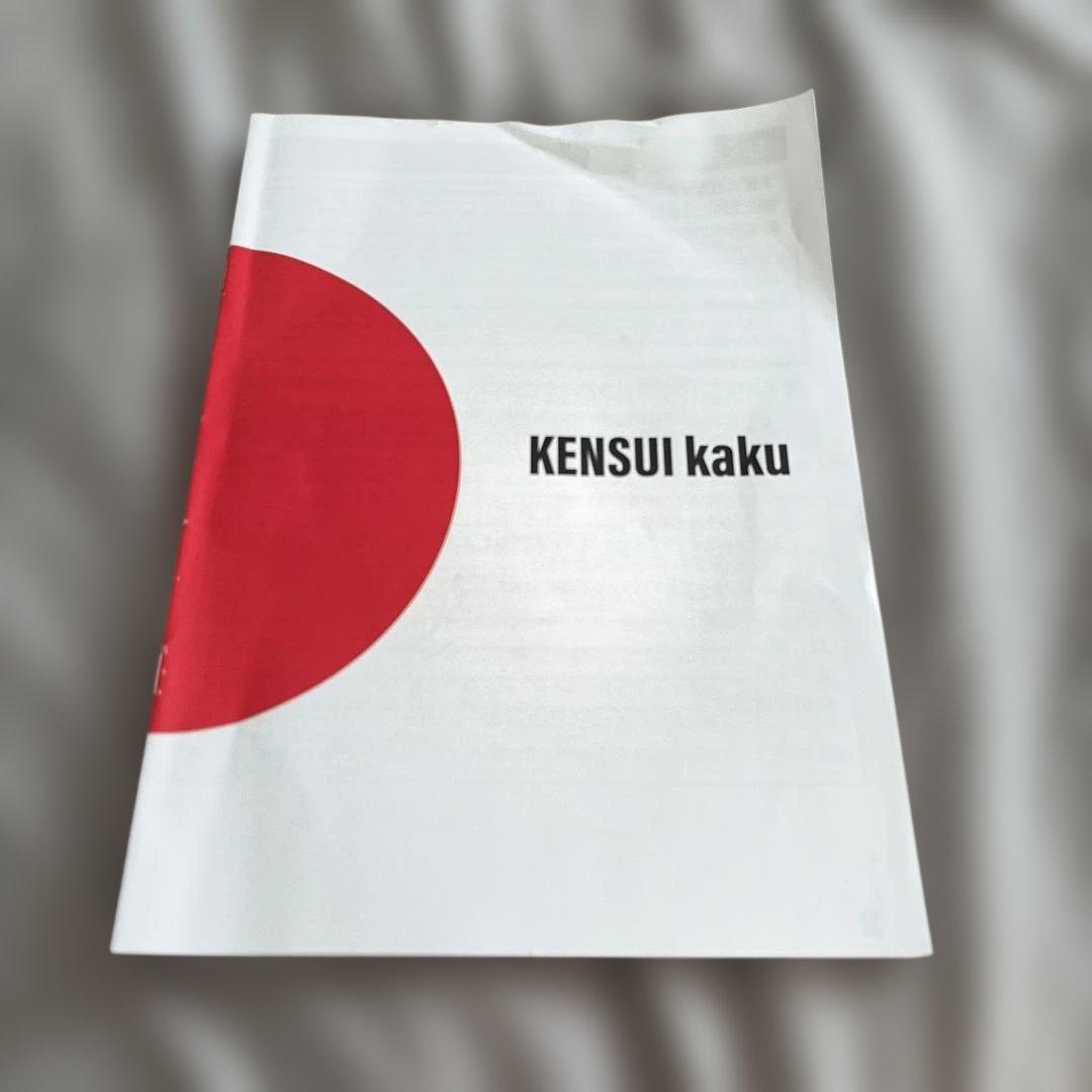 【美品】TEDDY WORKS 懸垂 KENSUI kaku model2