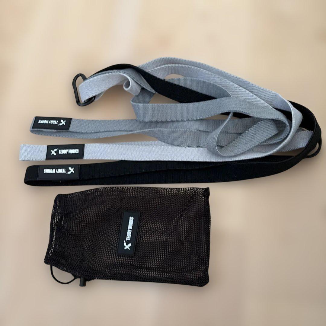 【美品】TEDDY WORKS 懸垂 KENSUI kaku model2