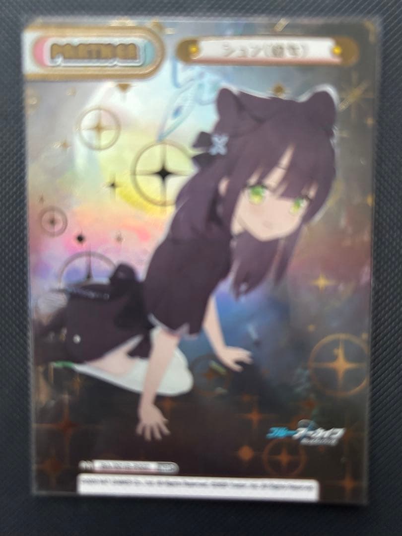 シュン　NBP reバース ブルーアーカイブ　　21