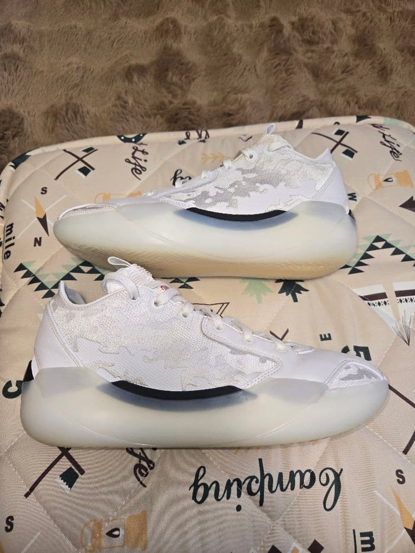 NIKE AIR JORDAN39 sol　ジョーダン39