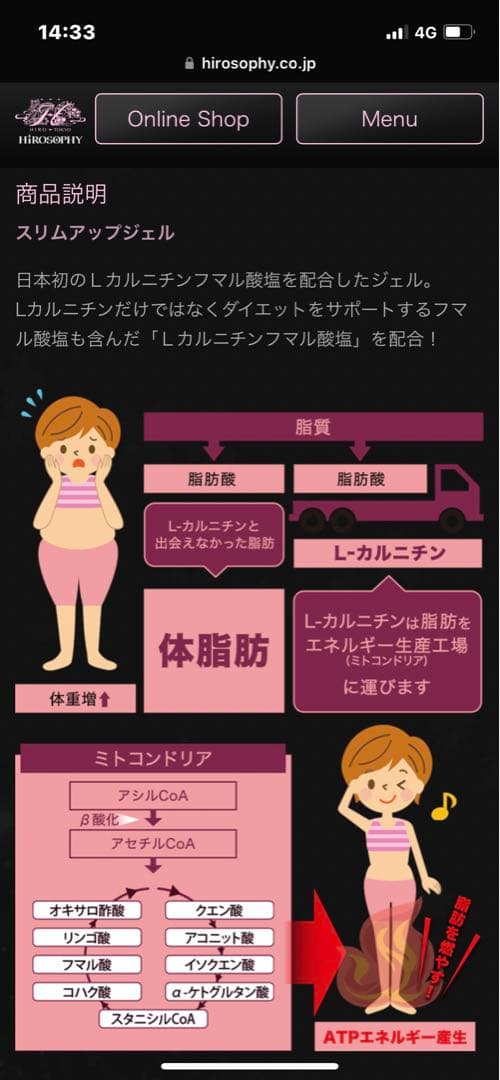 ポレイストPORAIST美顔器 ボディケアヒロソフィHIROSOPHY美容スリム