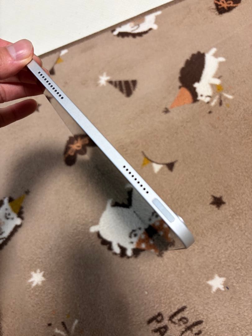 iPad　(A16)Wi-Fiモデル 128G