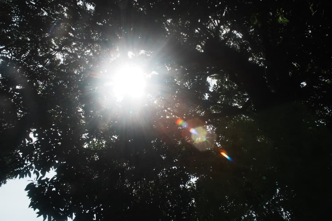 【ジャンク】ミノルタ MC.W.ROKKOR-SI 24mm F2.8 734