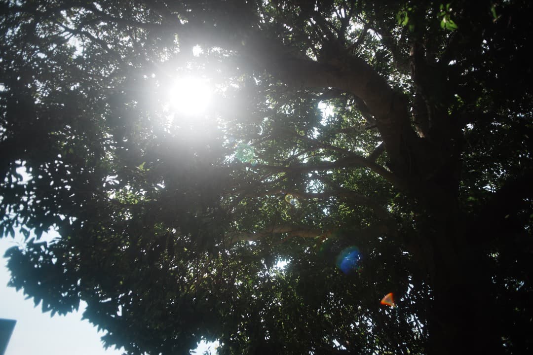 【ジャンク】ミノルタ MC.W.ROKKOR-SI 24mm F2.8 734