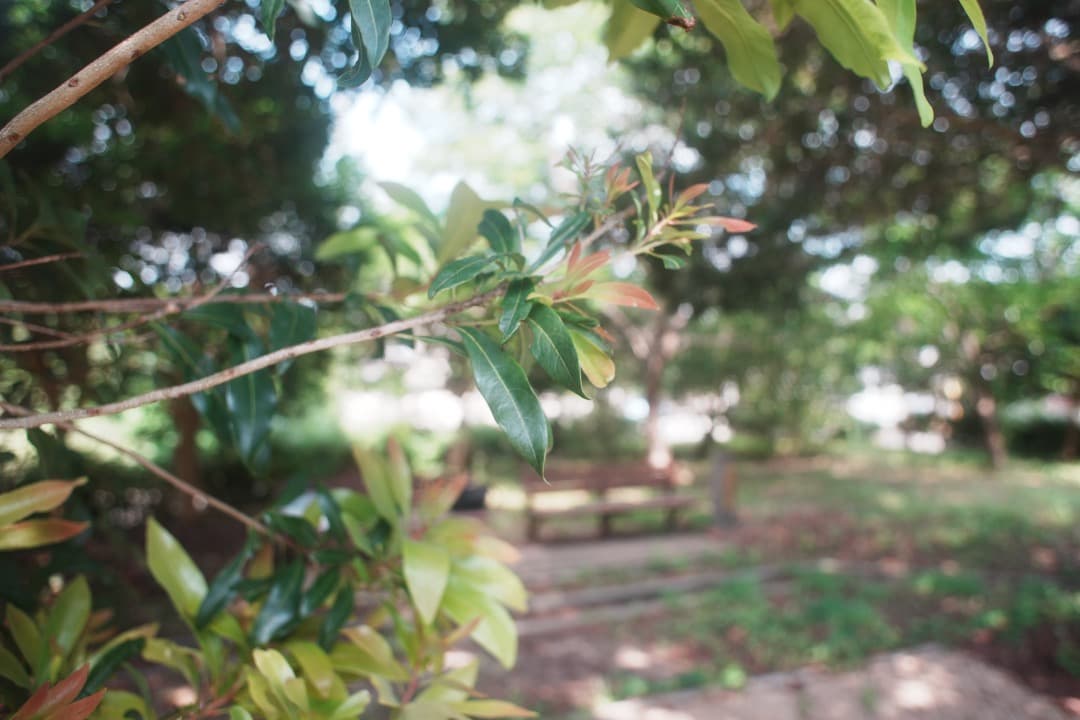 【ジャンク】ミノルタ MC.W.ROKKOR-SI 24mm F2.8 734