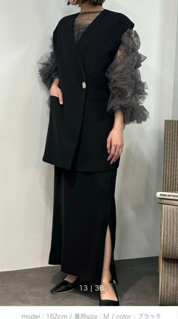 ANDRESD バックシアージレセットアップ　デコラティブチュールトップス