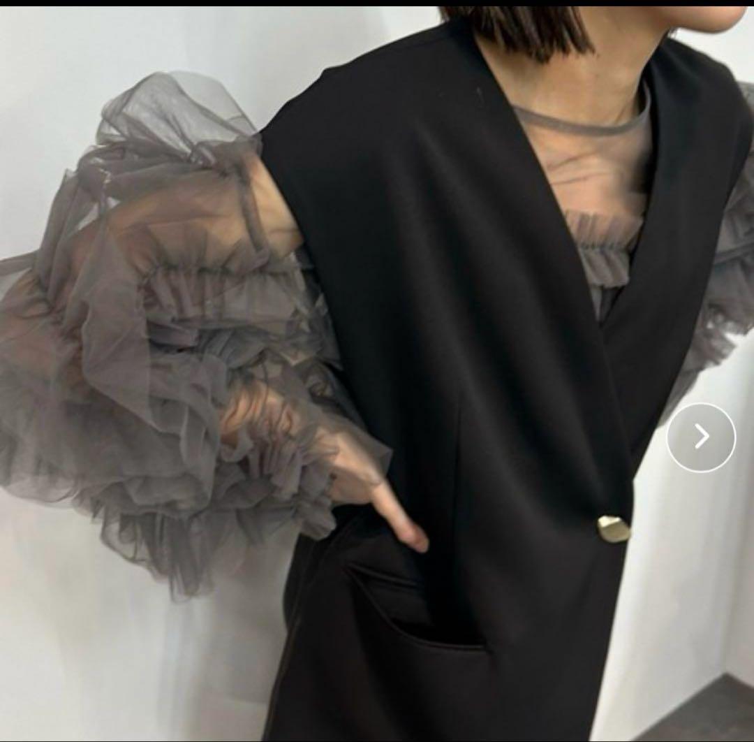 ANDRESD バックシアージレセットアップ　デコラティブチュールトップス