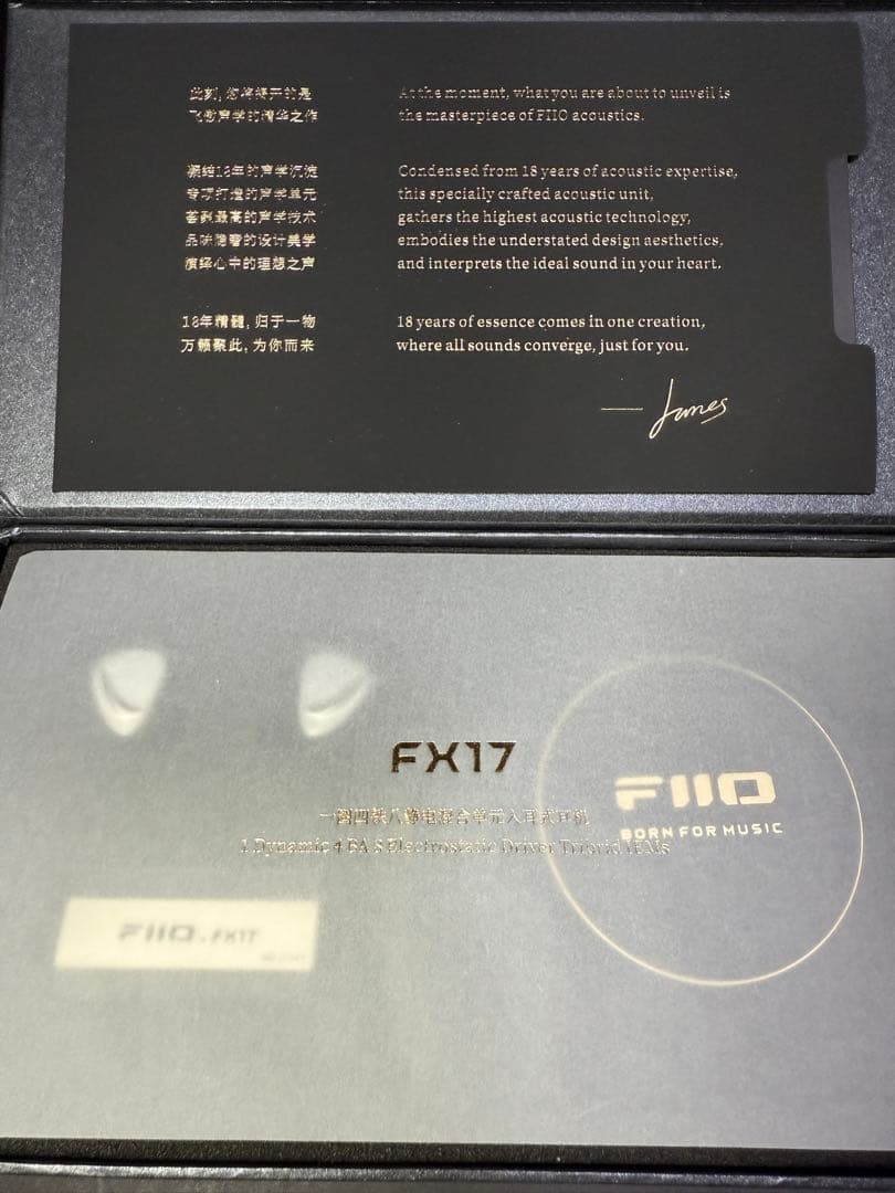 1/5まで出品 FiiO FX17 (eSiq ダブルコーティング済)