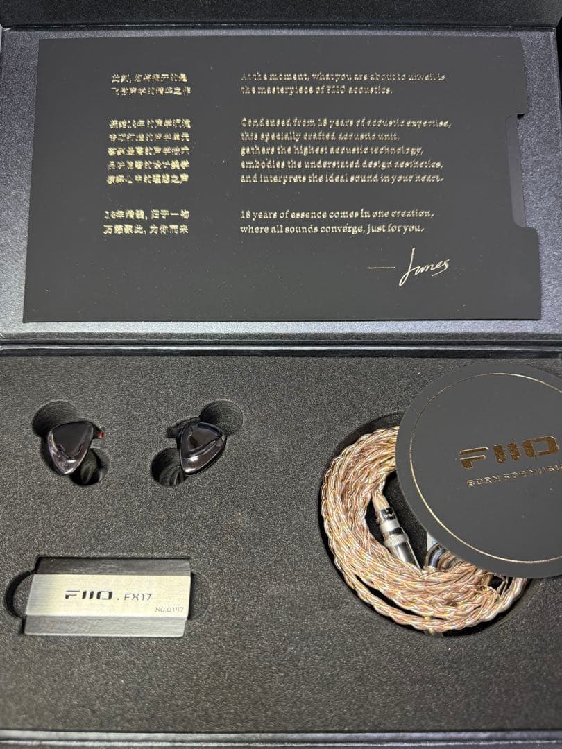 1/5まで出品 FiiO FX17 (eSiq ダブルコーティング済)