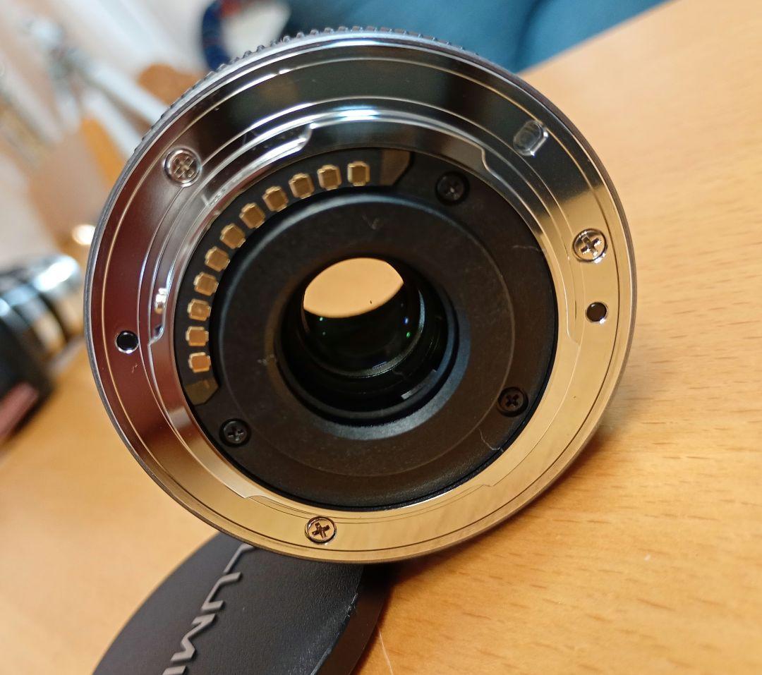 Panasonic LUMIX G H-H014 マイクロフォーサーズ