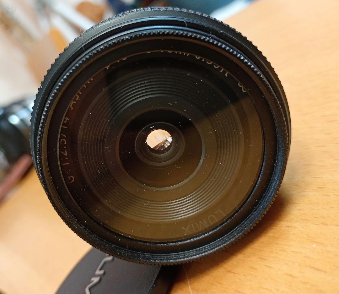 Panasonic LUMIX G H-H014 マイクロフォーサーズ