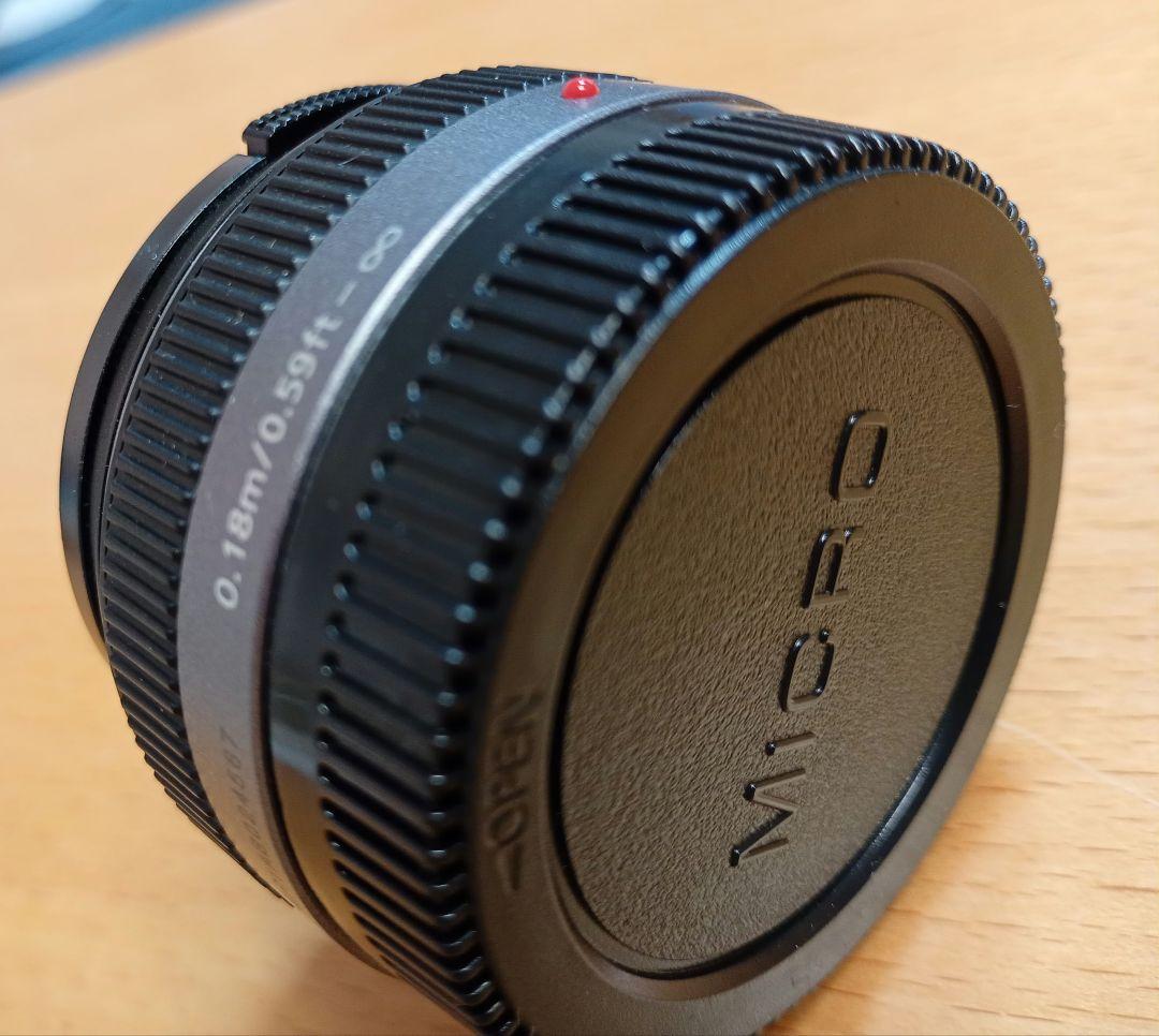 Panasonic LUMIX G H-H014 マイクロフォーサーズ