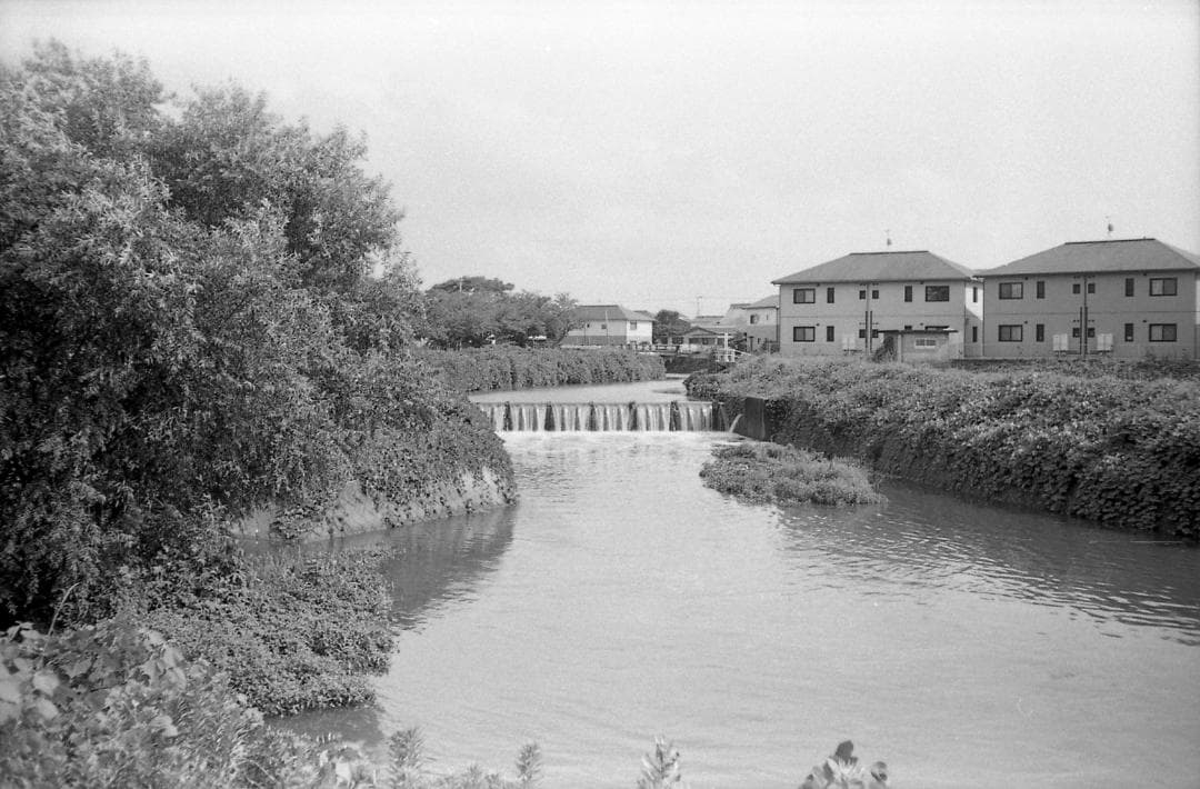 【整備済完動品・モルト/赤ベロOK!】Olympus Trip35