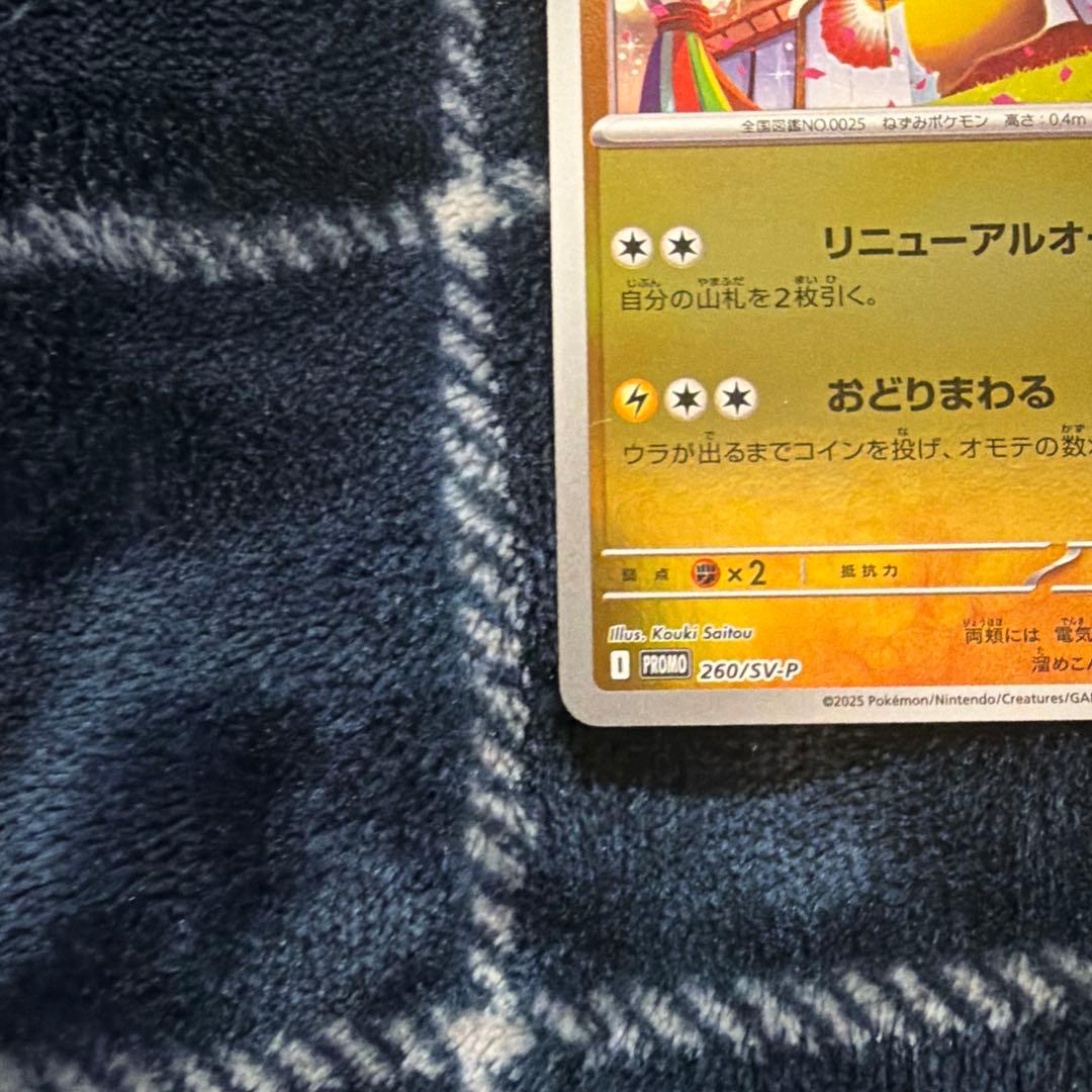 トウホクのピカチュウ