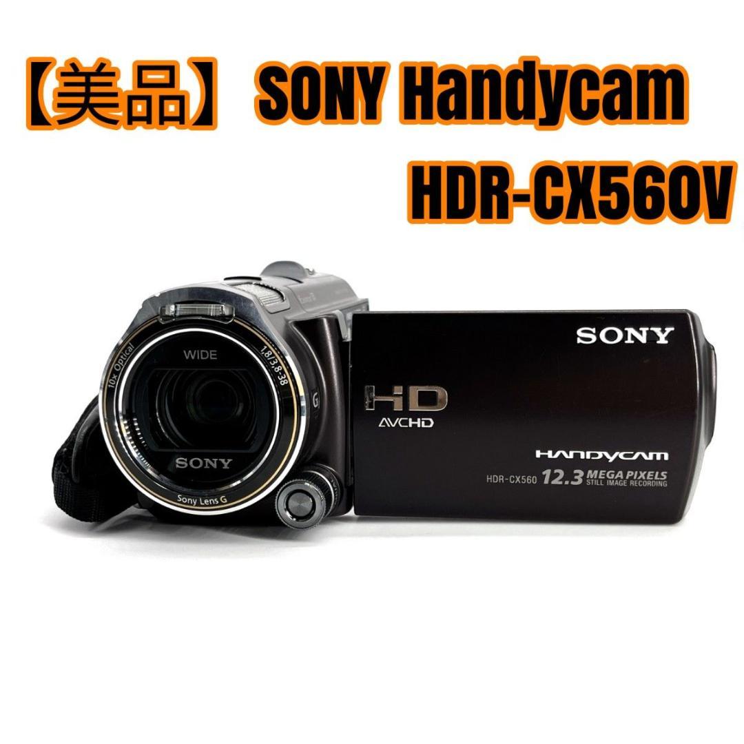 【美品】SONY Handycam HDR-CX560V