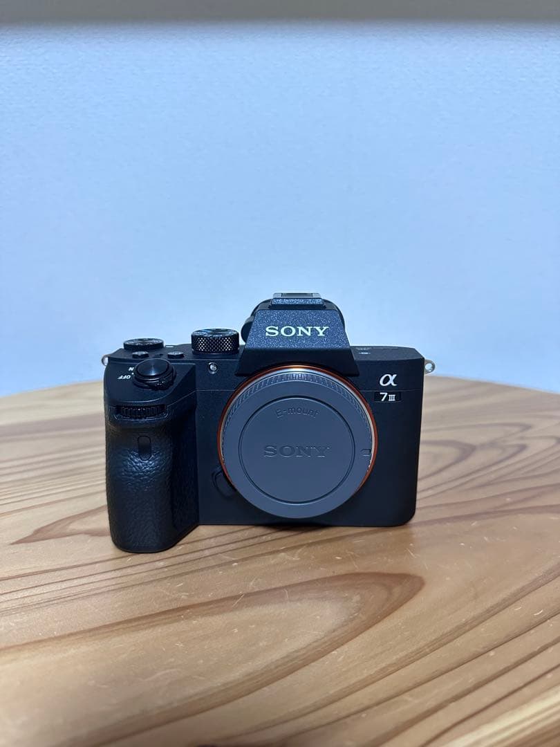 【ショット数極少】SONY α7 III ILCE-7M3K ズームレンズキット