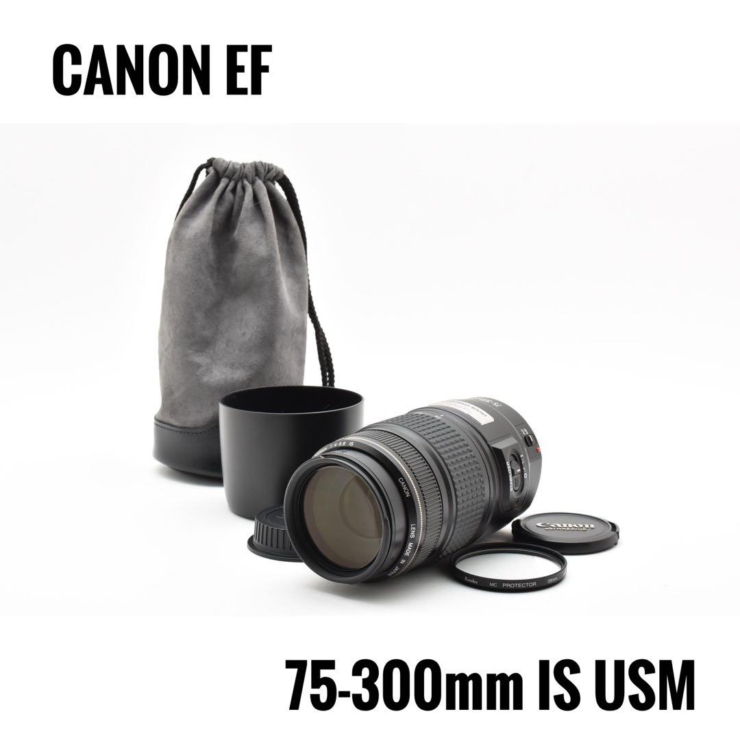 【美品】 キヤノン CANON EF 75-300mm IS USM