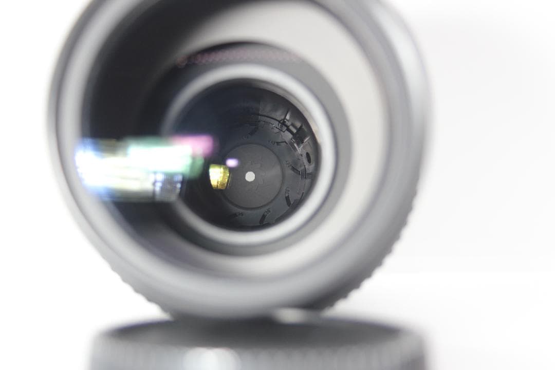 レンズ(ズーム) Nikon AF-S 55-300mm 4.5-5.6 G ED DX VR