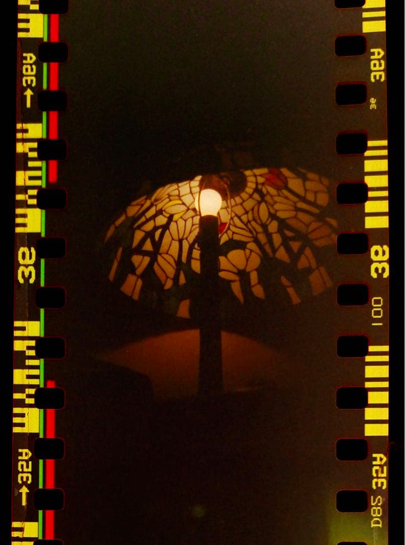 blackbird fly ディケイド