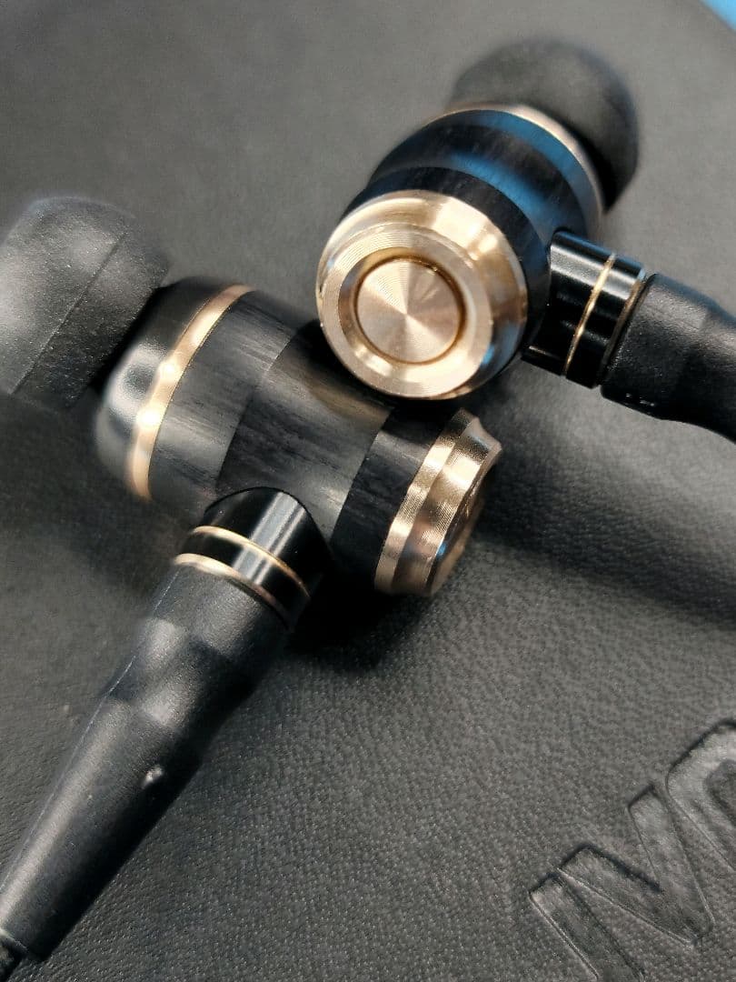 イヤホン JVC HA-FX1100 WOOD UNIT and HOUSING.