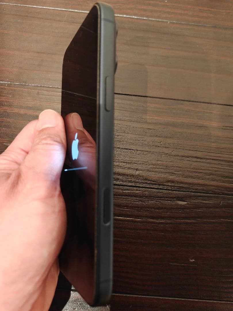 【極美品】iPhone 17ProMax 256GBブルー B100% おまけ有