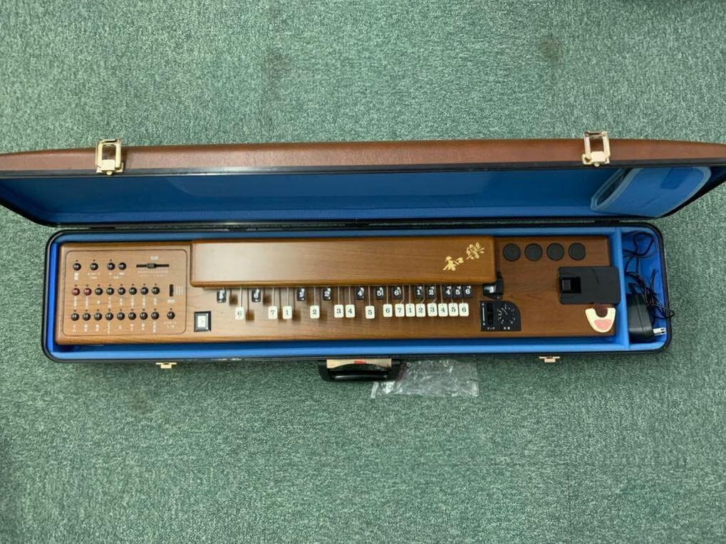 即日発送 SUZUKI 大正琴 TES-100 ハードケース付
