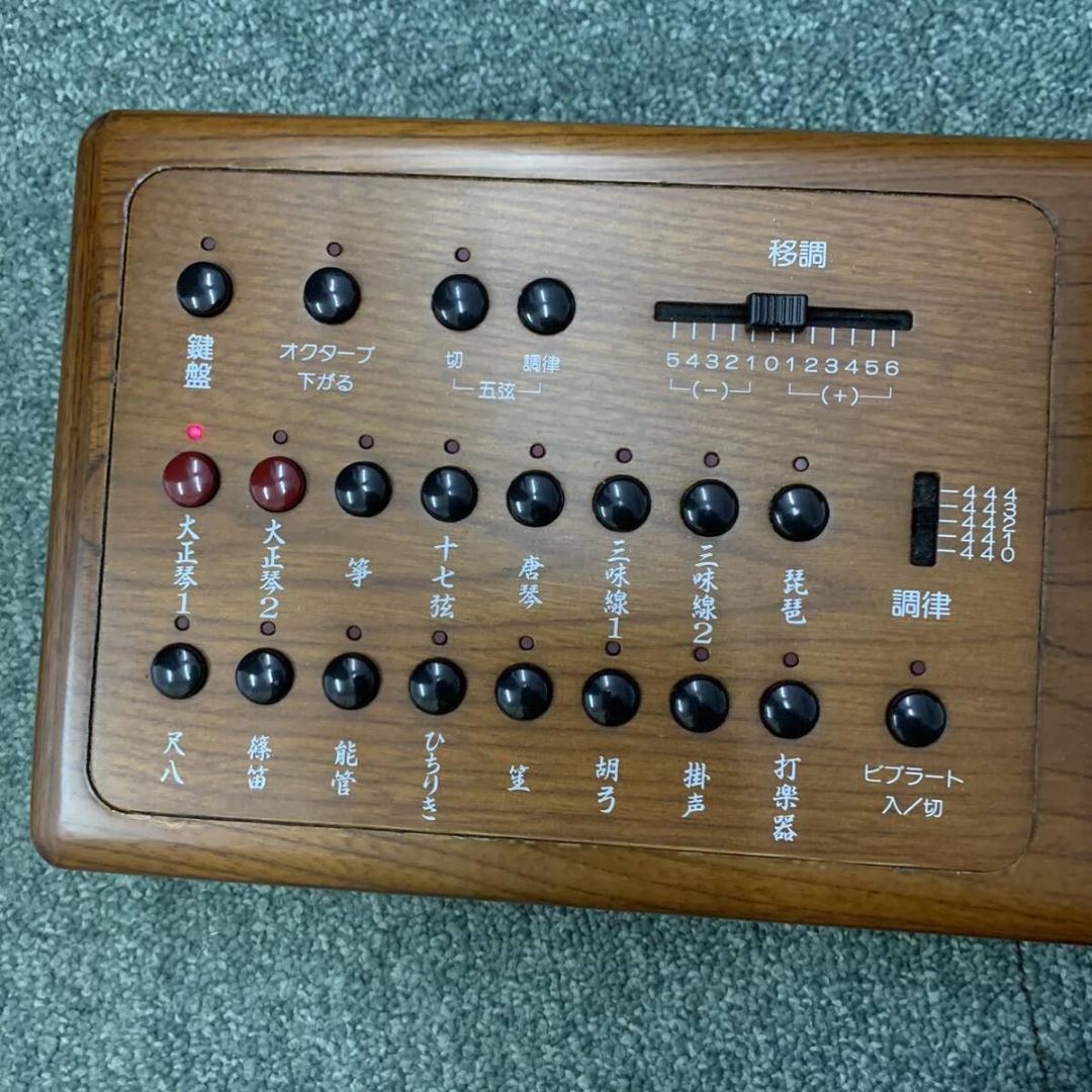 即日発送 SUZUKI 大正琴 TES-100 ハードケース付