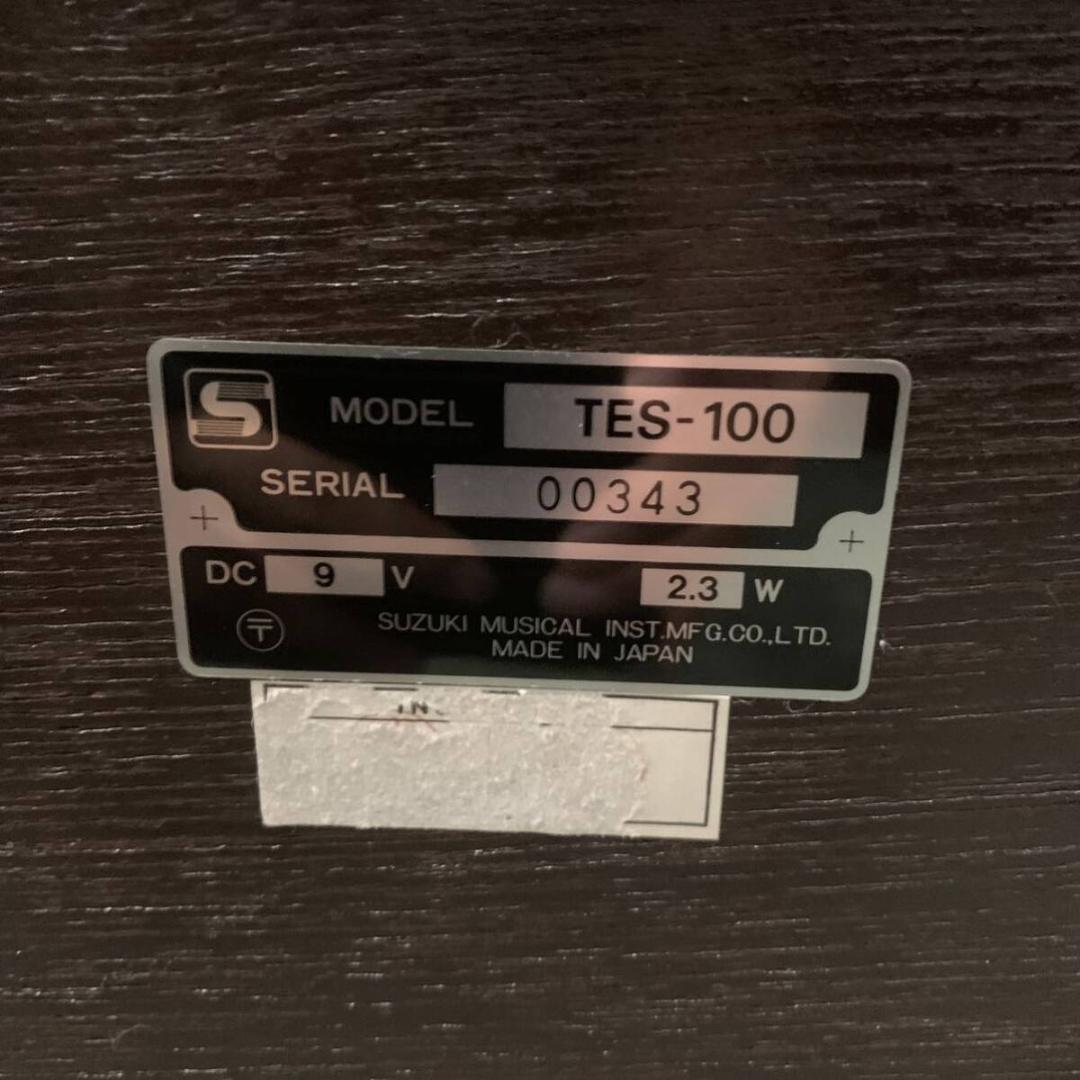 即日発送 SUZUKI 大正琴 TES-100 ハードケース付