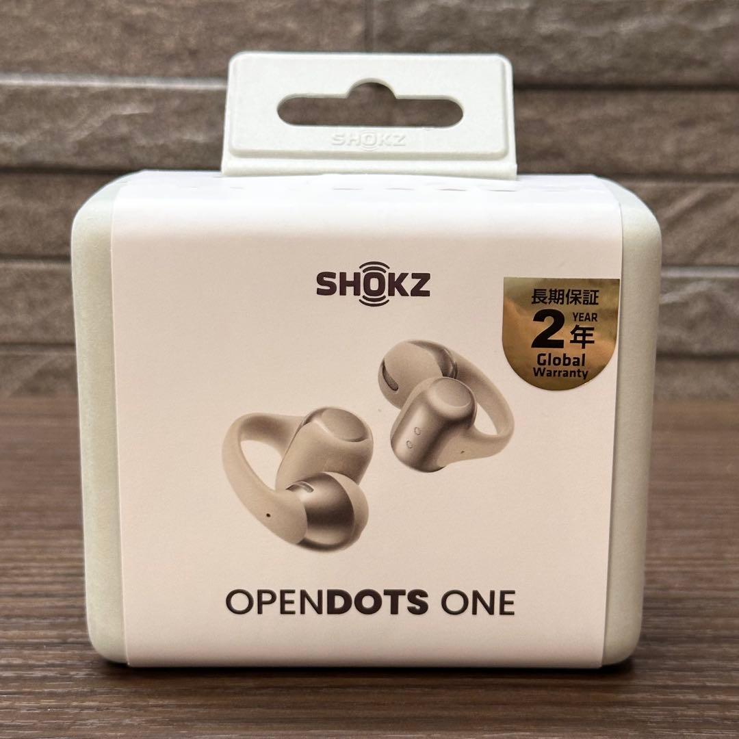 新品未開封Shokz OpenDots ONE SKZ-EP-000053