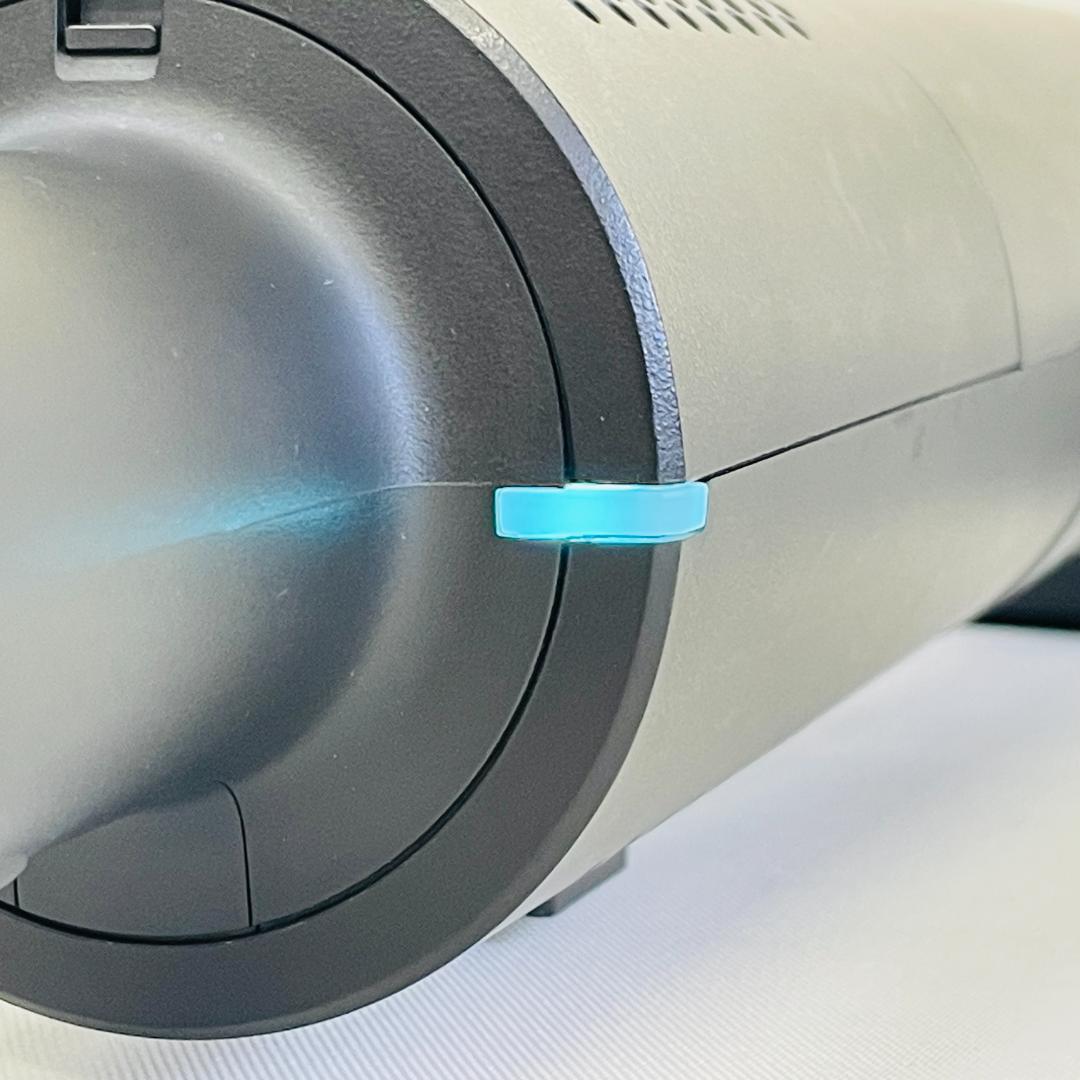 BALMUDA The Cleaner C01A コードレスクリーナー 20年製