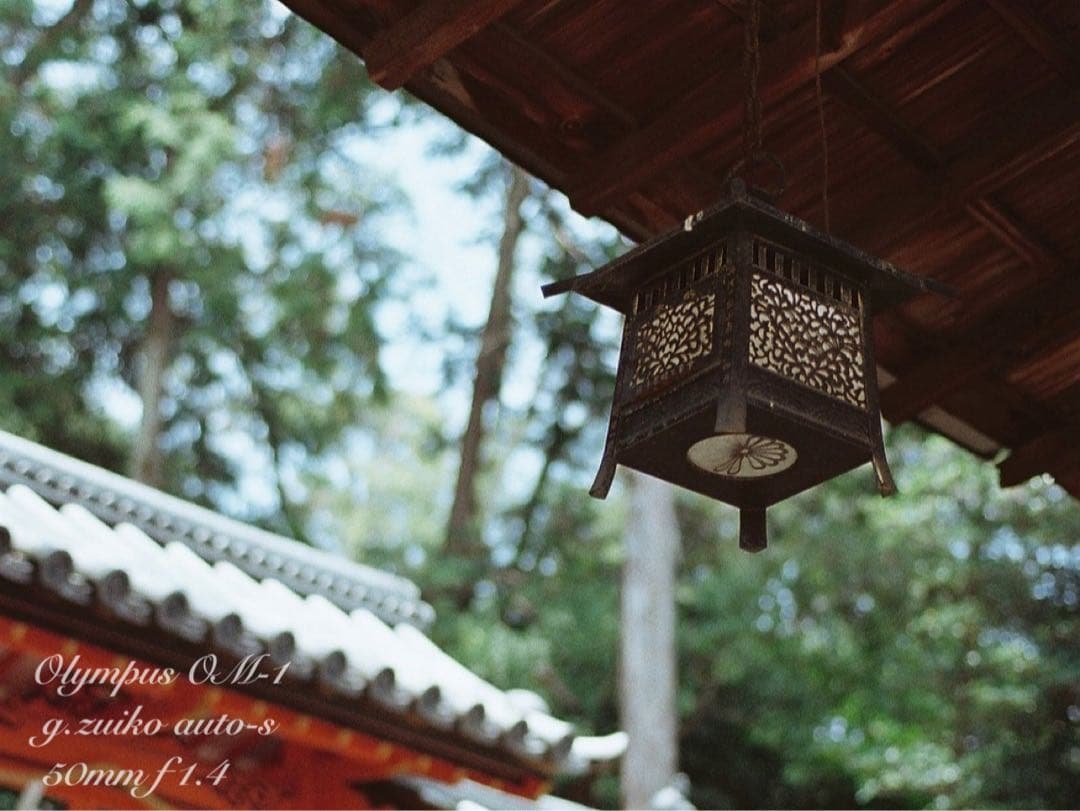 ★完動品＊美品＊初期保証★OM-1&zuiko f1.4#名玉！★作例多数