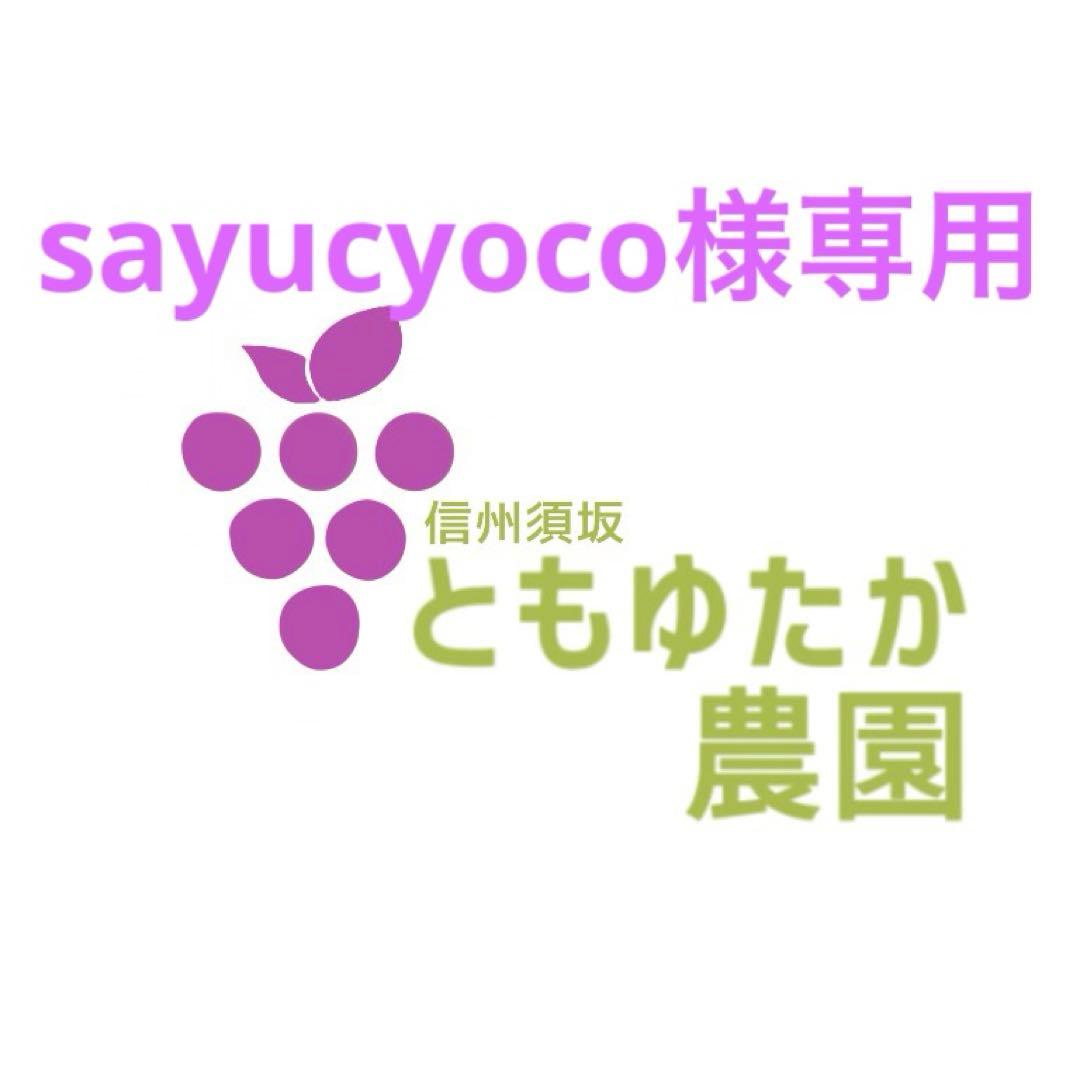 ★sayucyoco★発送日おまかせ