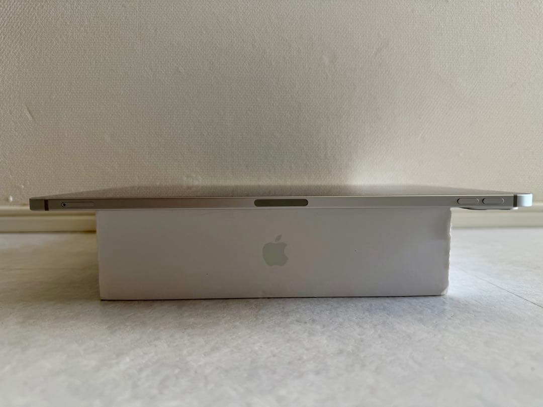 iPad Pro 11　第4世代（M2）256G Wi-Fi＋cellular