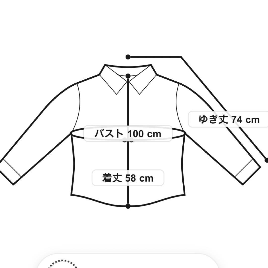 新品未使用⭐️アドーア ADORE 24SS ドライタッチ シアー ブラウス