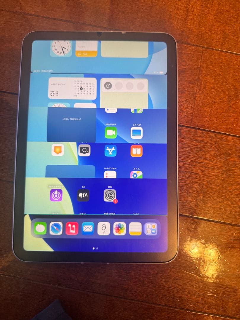『ジャンク品』iPad mini6画面不良