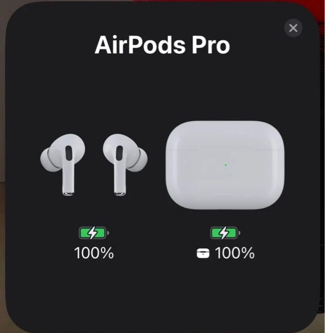 AirPodsPro 第1世代 　ナンガ ケース(iFace) セット