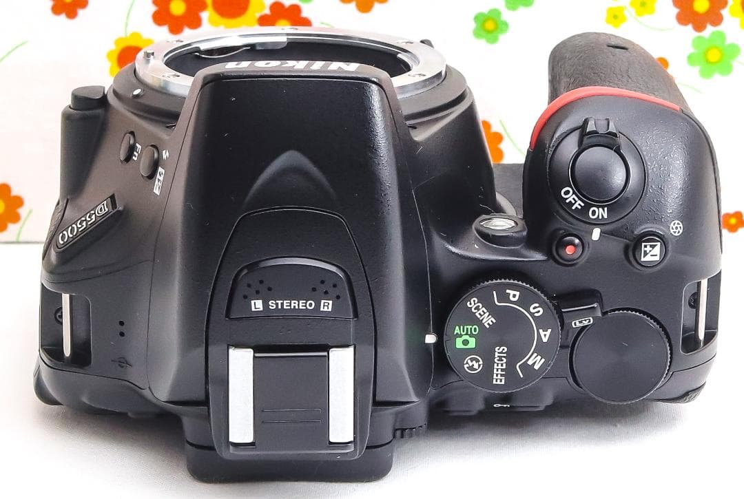 美品 ニコン Nikon D5500☆Wi-Fi搭載機♪☆高機能・高画質一眼レフ